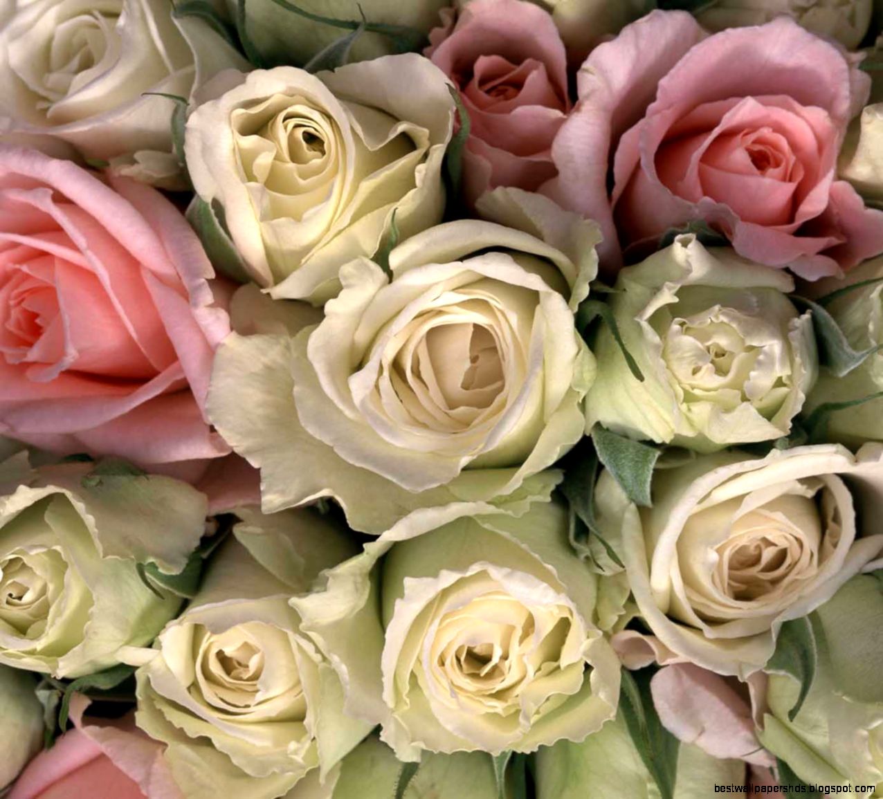 Free Download Of Live Wallpapers   All Wallpapers New