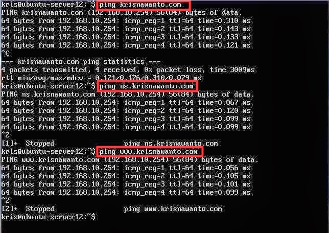 Cara Install DNS di Ubuntu server 12.04