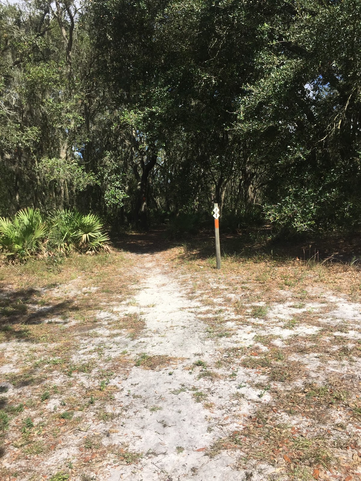 Summit Hiking in New England Upper Hillsborough Tract, Zephyrhills