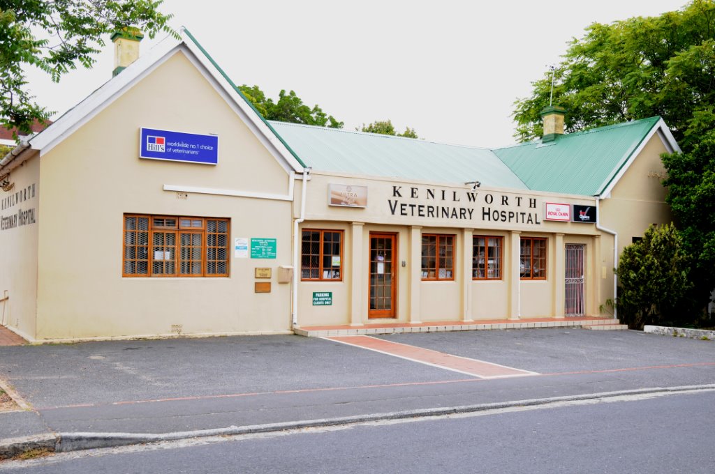 Harfield Village Kenilwoth Vet Puppy Training