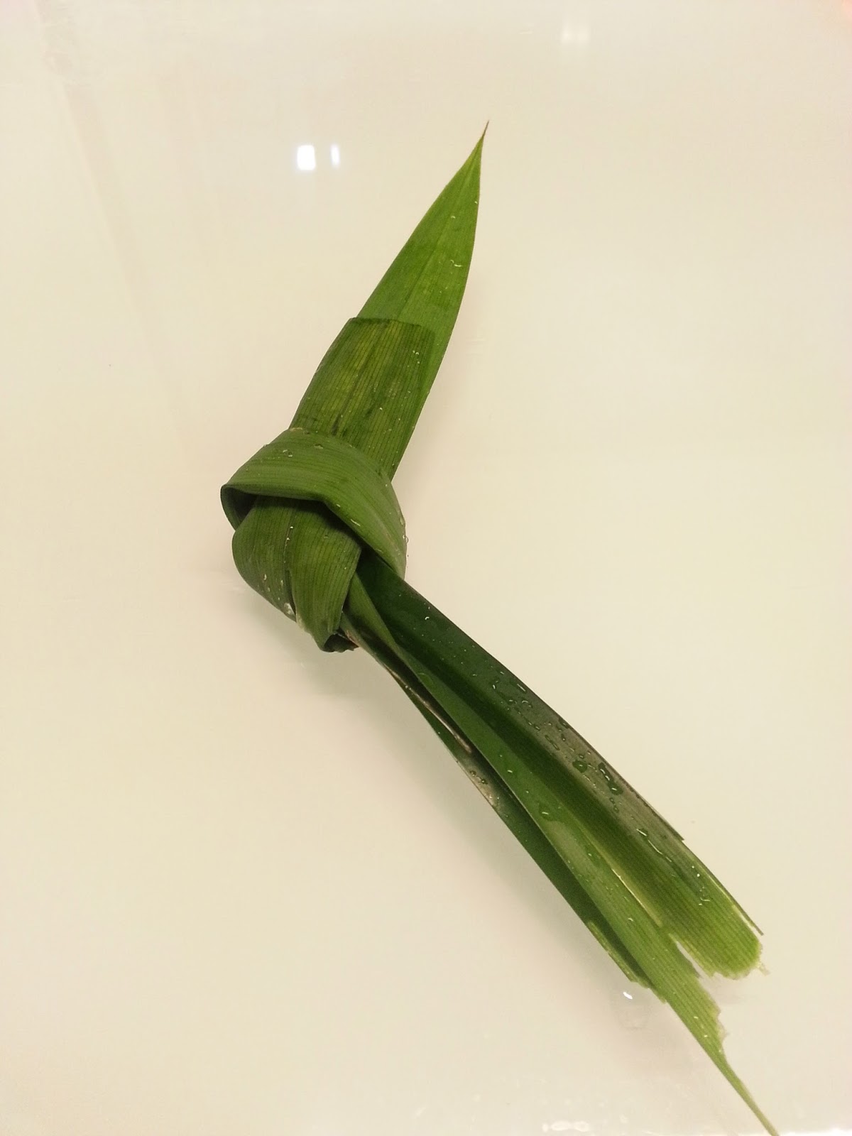 Mommy and Baby 3 Easy Steps to Cook Bird Nest 燕窝