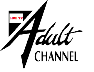 نتيجة بحث الصور عن blogger iptv adult