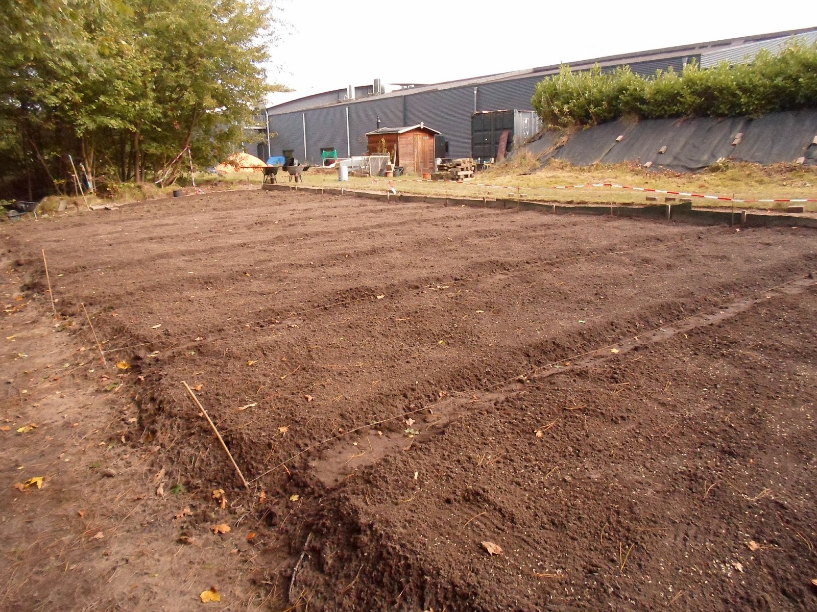 Moesker's Moestuin Rogge als groenbemester!
