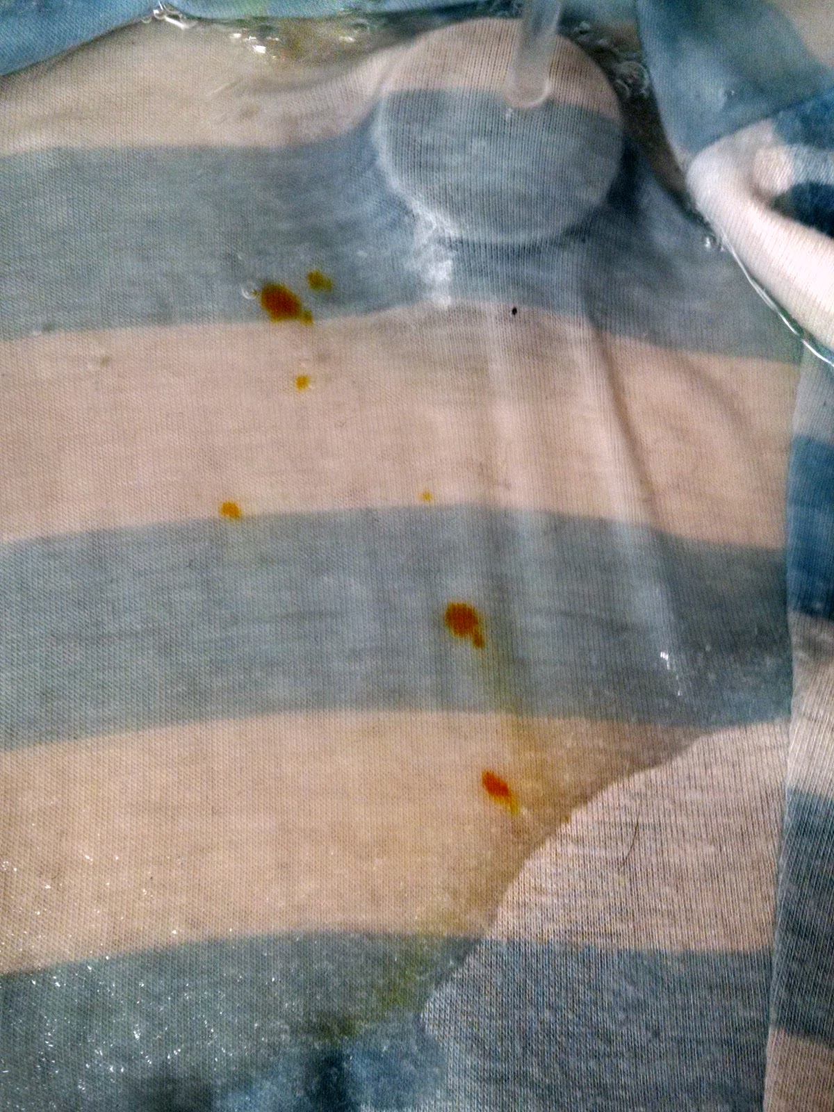 Must Run in the Family How to Get Food Coloring Out of Clothing