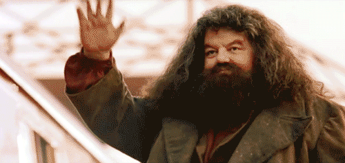 Hagrid-Says-Good-Bye-To-Harry-Potter-Animated-Gif-Image.gif