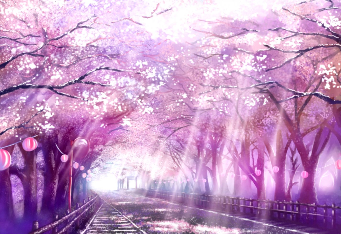 Cherry Blossom Tree Wallpaper Best Wallpapers Hd Gallery