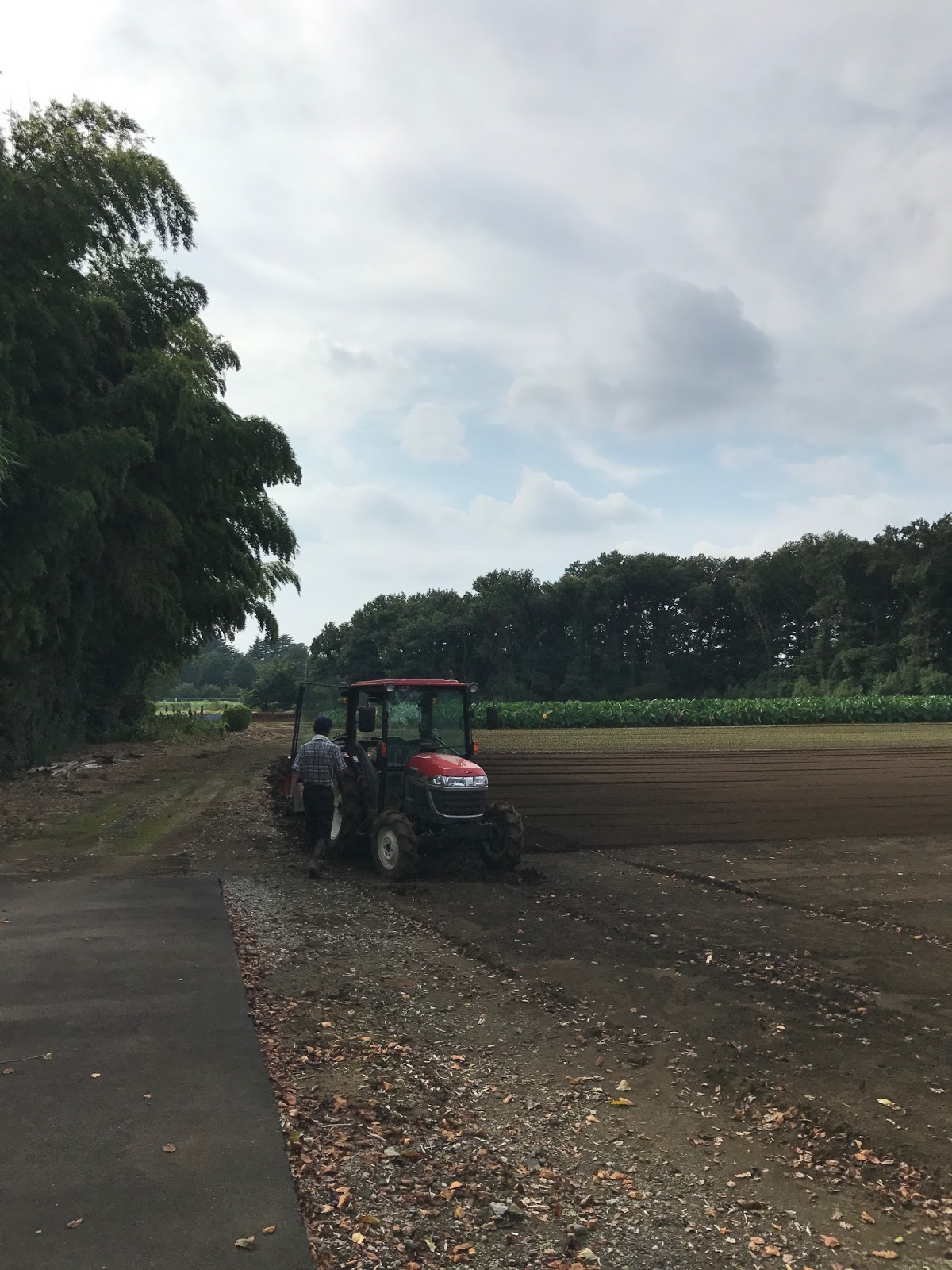 葉織 Haori Flowers 新宿区のお花屋さん 新座市界隈の散策