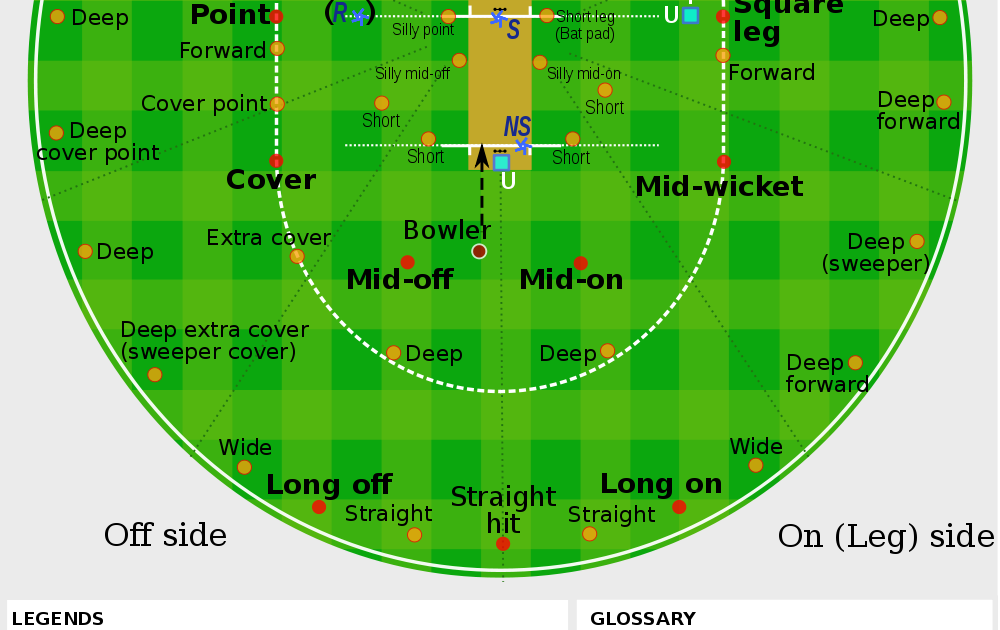 Pitch field. Pitch field court разница. cricket terms. position name.