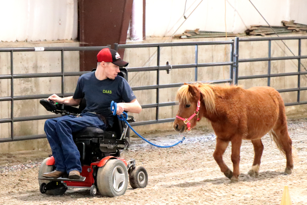 Utah Assistive Technology Program Custom wheelchair helps equine