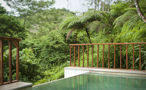 PuraVidaEcolodge Blog: 8 Months later and the Jungle Villa ready!!!