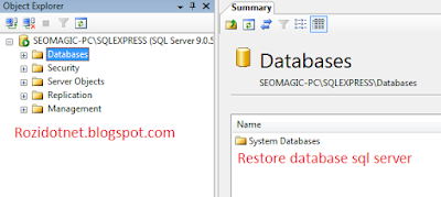 Restore Database Sql Server 2005 / File .bak - RoziDotNet