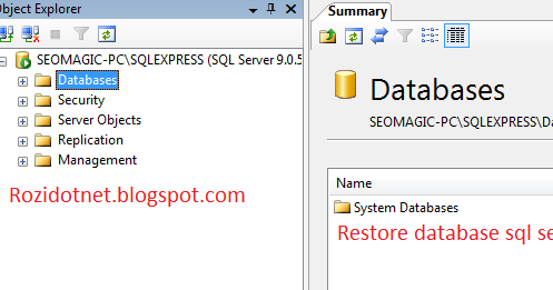 Restore Database Sql Server 2005 / File .bak - RoziDotNet