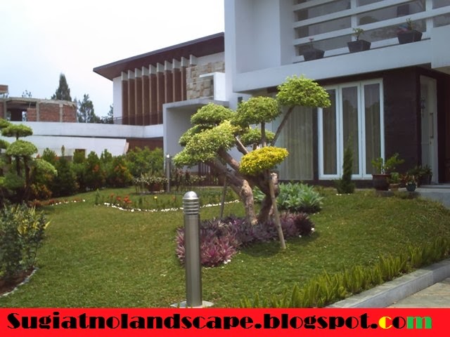 Tren Gaya 38+ Taman Minimalis Indoor