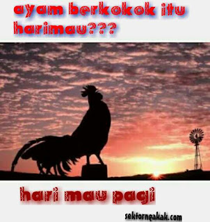 Gambar Lucu Terbaru Gokil Abis Gambar Lucu Terbaru Gokil Abis