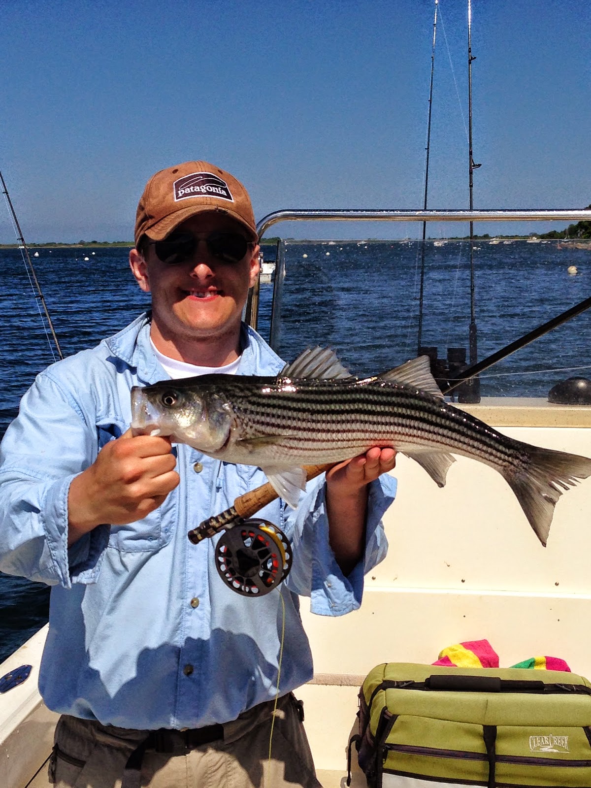 Boston Fly Fishing and Report The Striped Bass of Plum Island