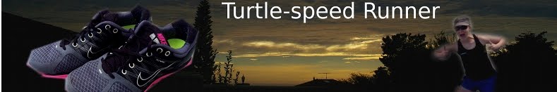 Turtle-speed Runner