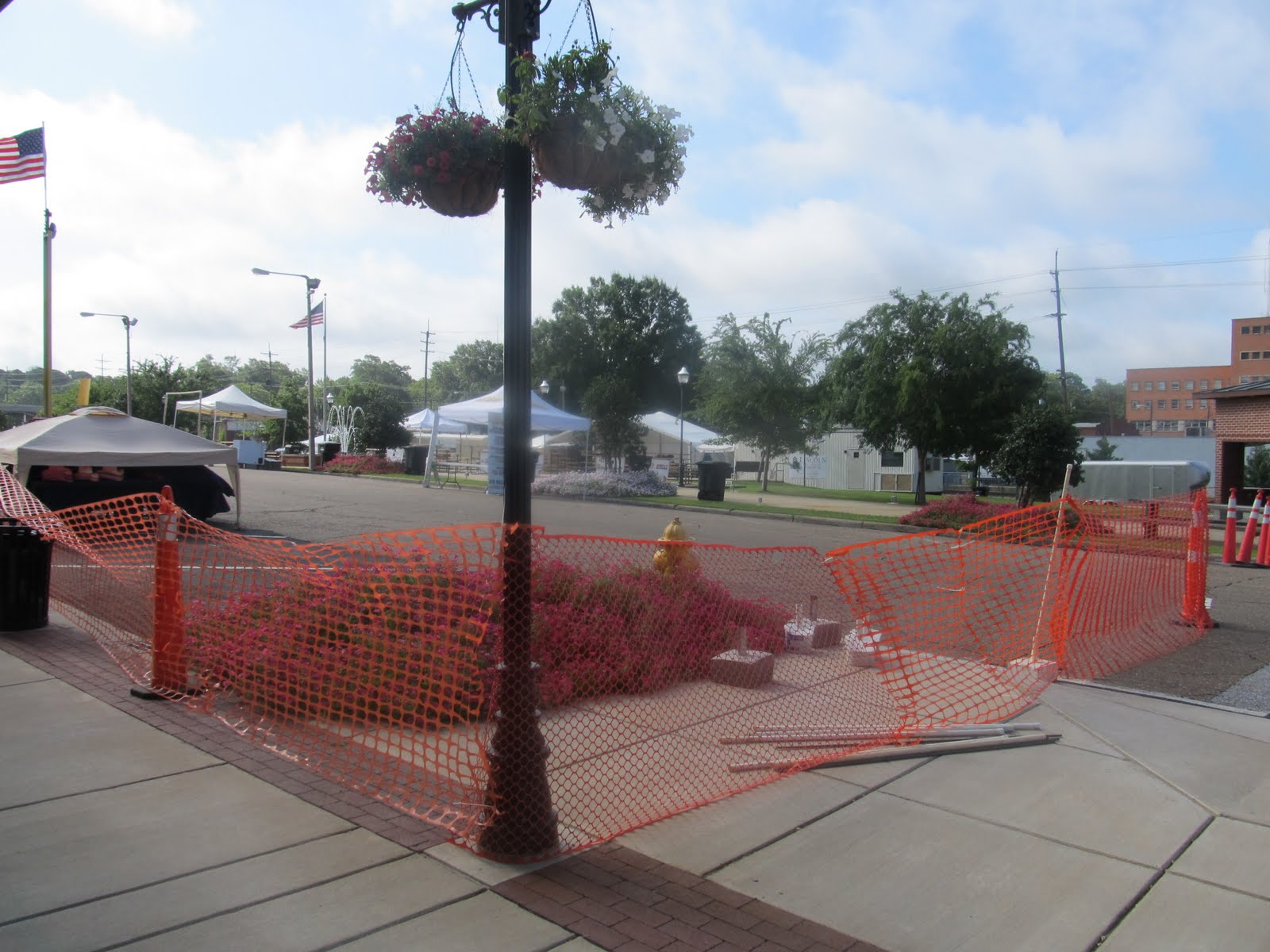 PrunePicker Ruston, Louisiana Peach Festival, today and tomorrow.