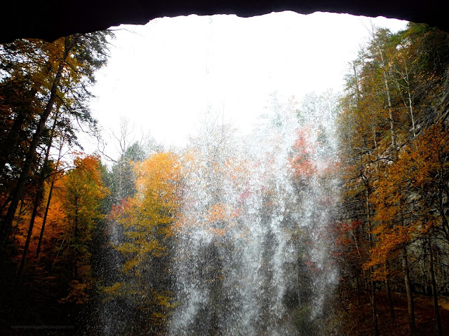 Tennessee Waterfalls, Travel, Explore, Hiking, Fall Leaves, nature