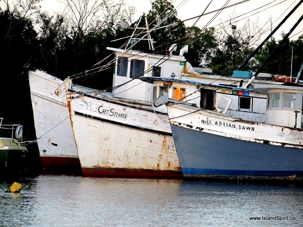 Island Spirit Sailing Adventures SC contrast