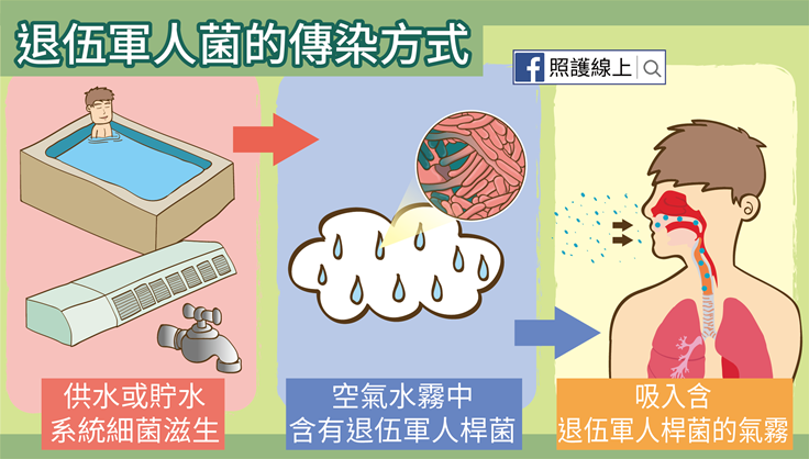 退伍軍人桿菌(Legionella pneumophila)的傳染方式