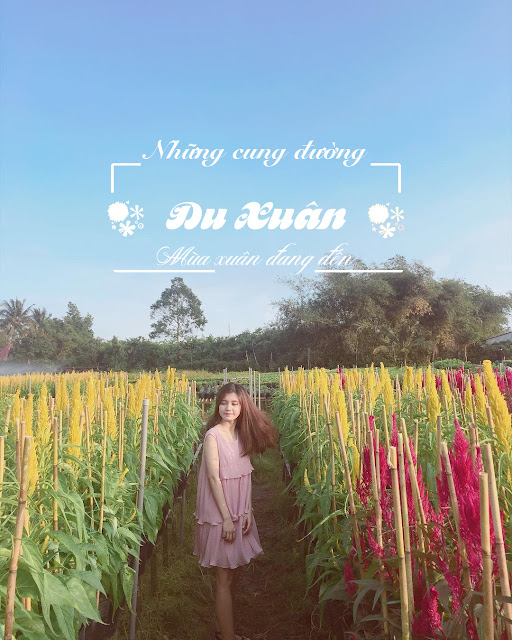 Bạn Có Hẹn Với Thiên Đường Mùa Thu Trong Nước ?