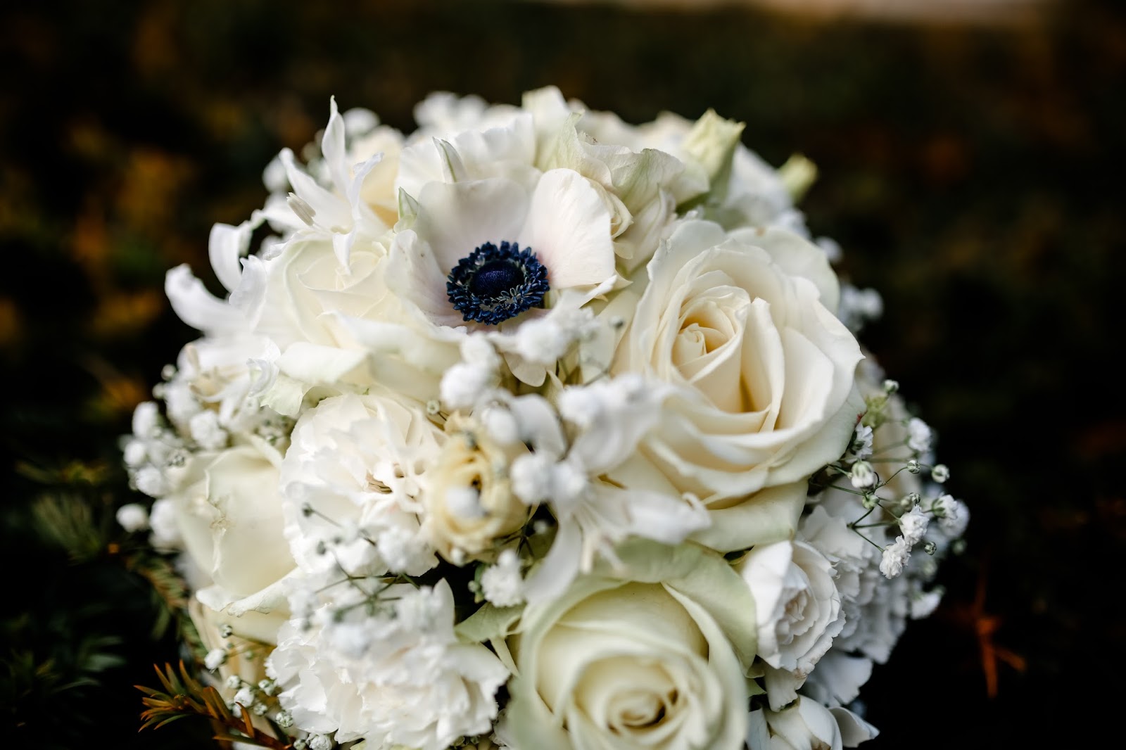 Meerjungfrauenschwimmen Konigliche Hochzeit Und Viele Plane