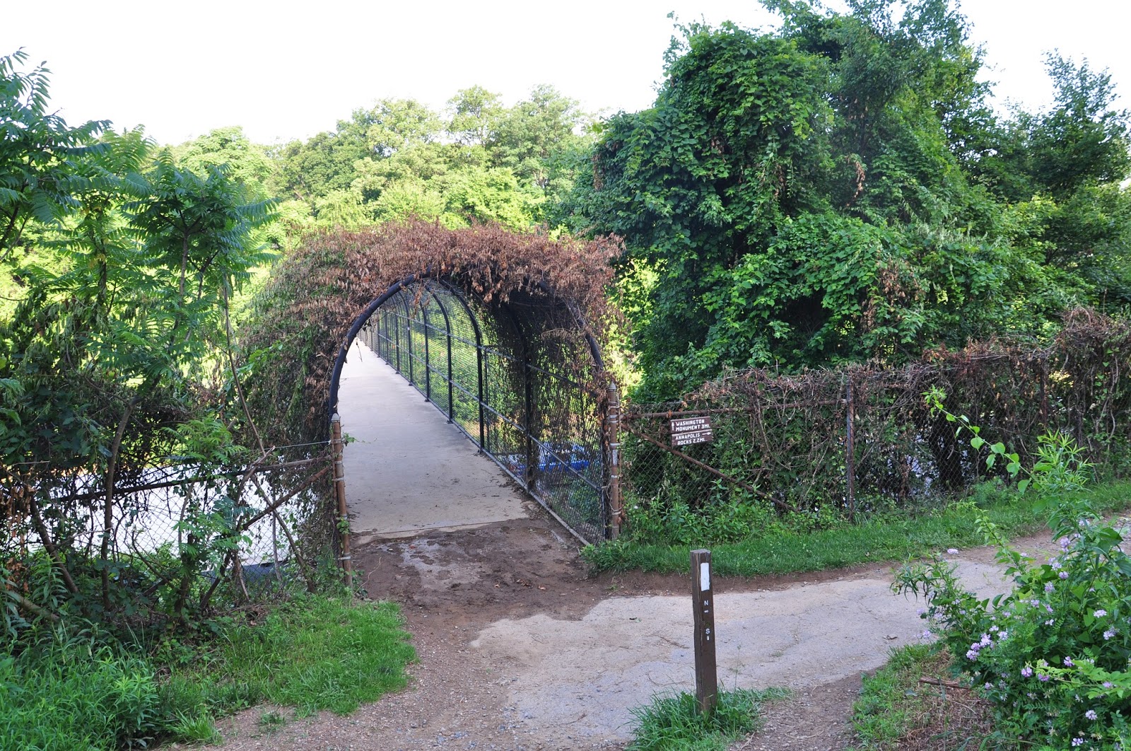 MidAtlantic DayTrips Hike to Annapolis Rocks