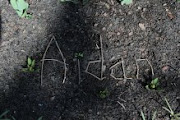 Aidan in the Garden