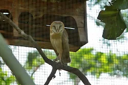 taman burung tmii jakarta