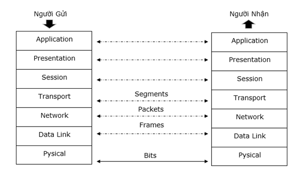 Mô hình OSI và TCP/IP