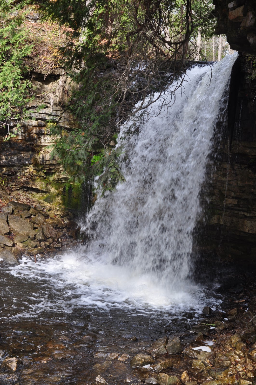 Hiking trails near Toronto Halton Hill Conservation Area