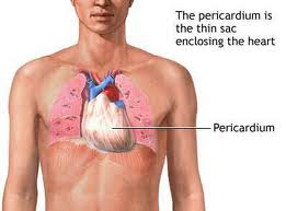 What is mesothelioma testify inside the breast in addition to abdominal cavities Mesothelioma Article - Mesothelioma Symptoms May Not Become Evident