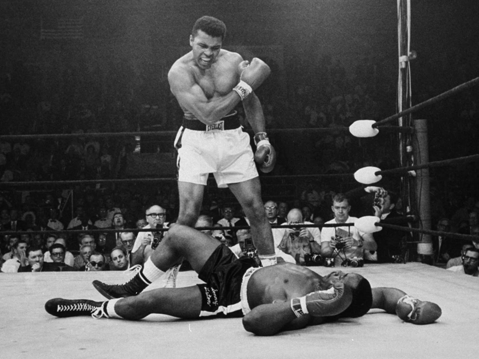 Bytes Boxing Day
