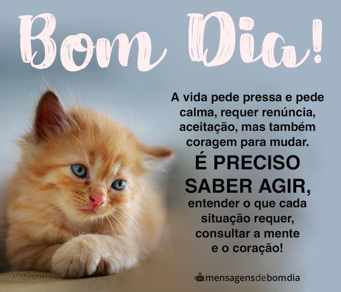 Blog Rádio Topp Mais é 10 19.1 Rádio de Músicas Blog Rádio Topp Mais é 10 19.1 Rádio de Músicas