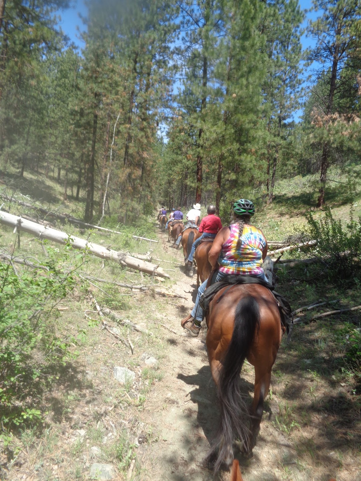 Methow Valley Back Country Horsemen 2017 Boulder Creek/Swimming Pool Ride