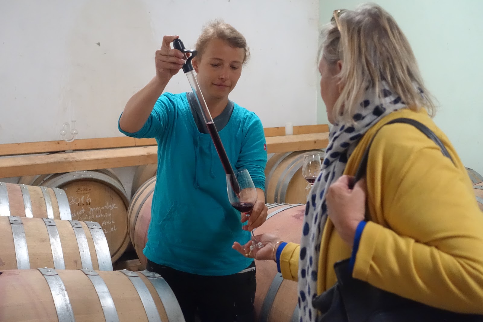 schillerwine Vineyard Tour, Cellar Tour and Tasting at Weingut Born