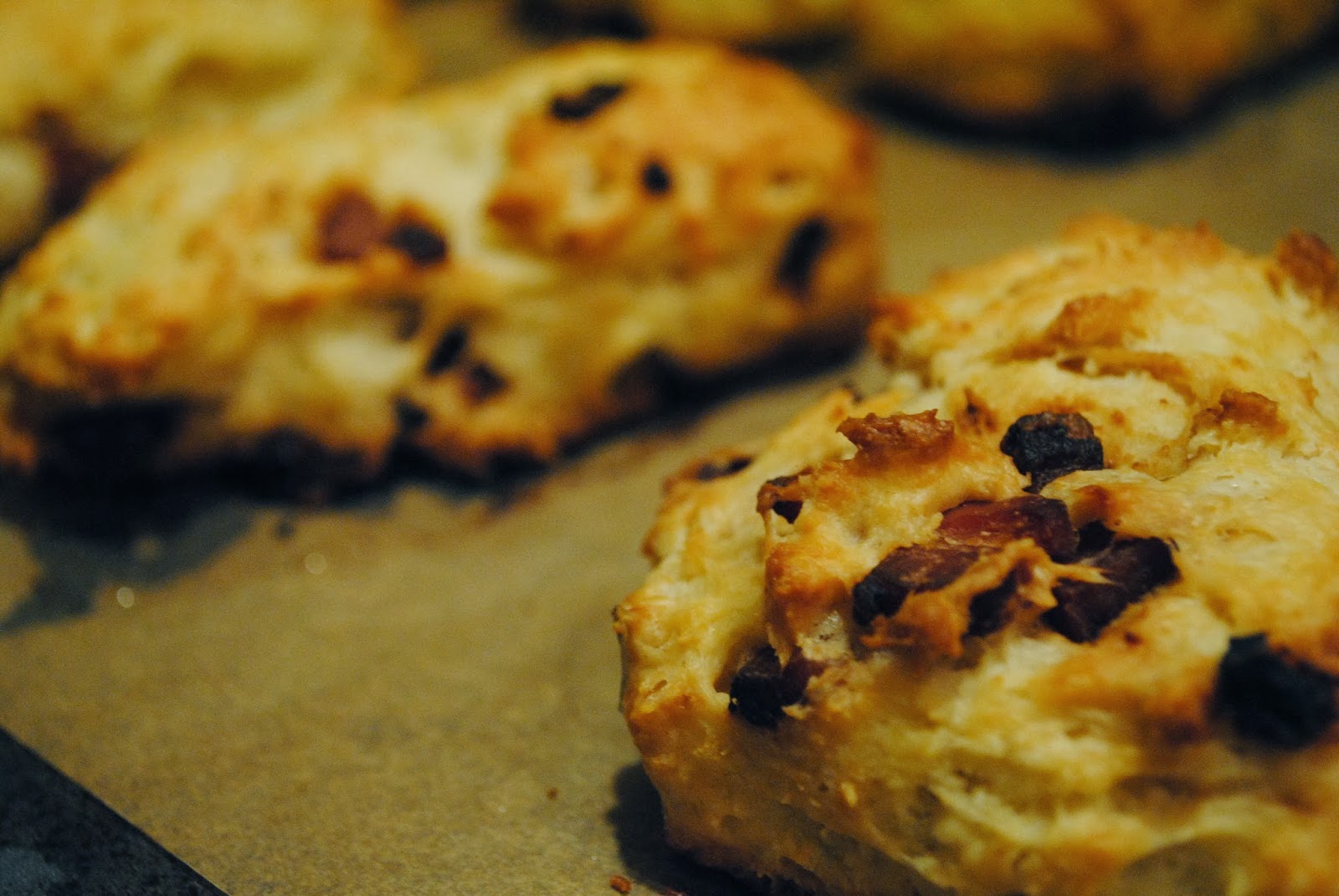 pancetta scones are the bees knees / WHAT JEN DOES