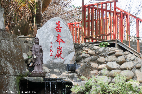 台中北屯|2019大坑濁水巷櫻花林|走木棧道賞5千棵櫻花|善本巖|免費入園賞花 台中北屯|2019大坑濁水巷櫻花林|走木棧道賞5千棵櫻花|善本巖|免費入園賞花