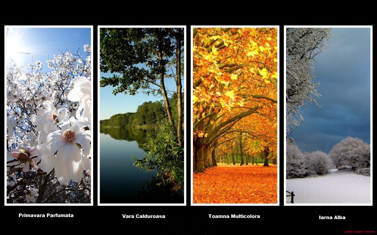 Точным сигналом приближения весны лета осени. Пейзаж в Разное время года. Картина времена года.