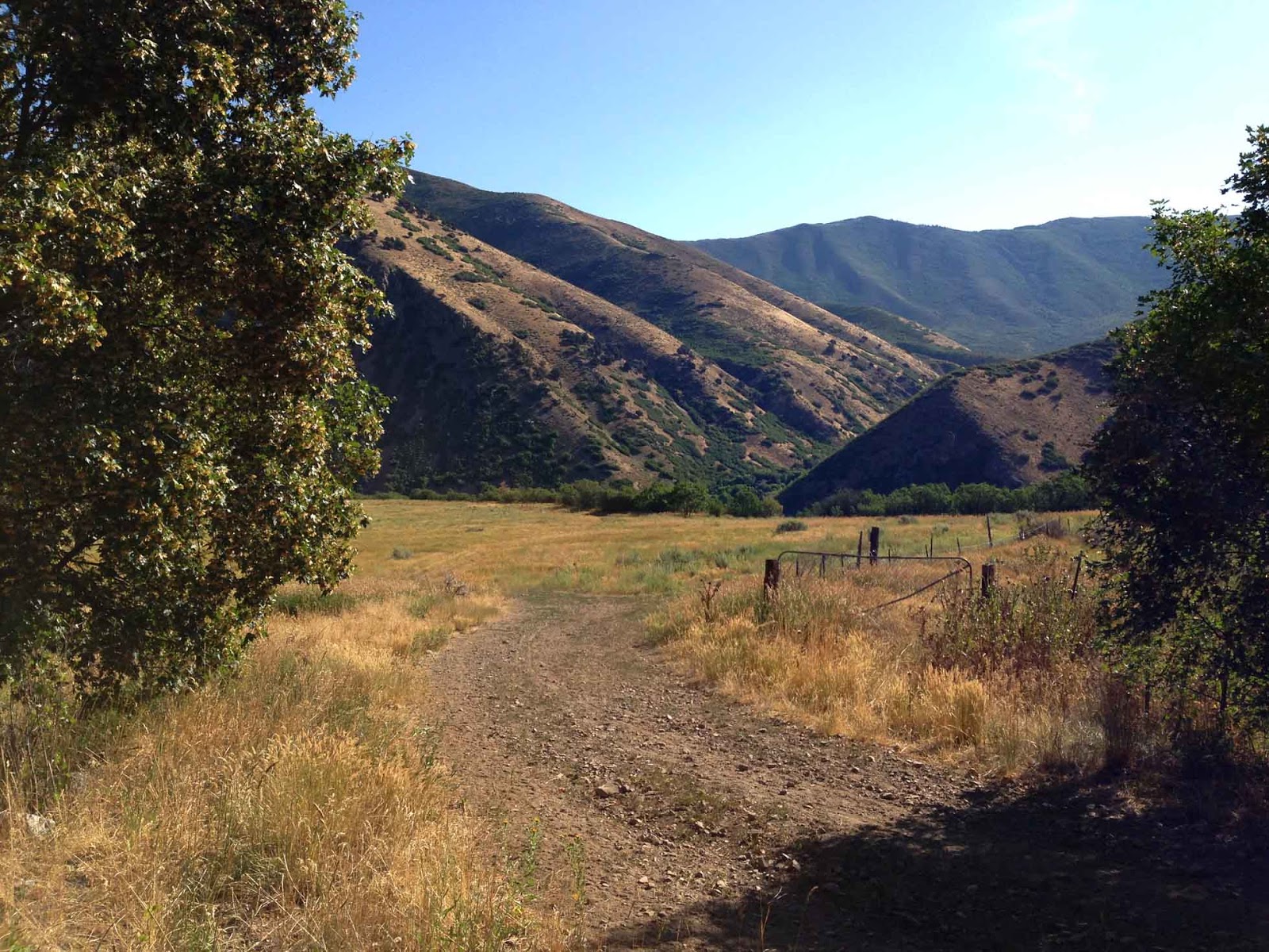 Rocky Mountain Bushcraft Photo Post Hammock Camping in the Utah