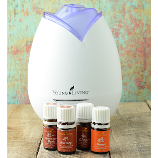 Ten Amazing Fall Diffuser Recipes | Ten fabulous essential oil combinations that capture the essence of the season.