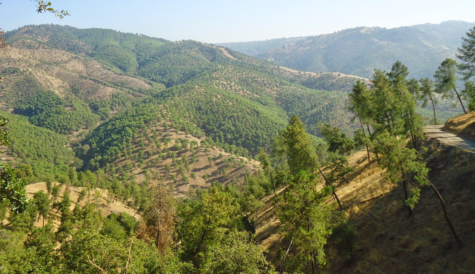 TOROS Y CAZA La sierra en Verano. Ya queda menos