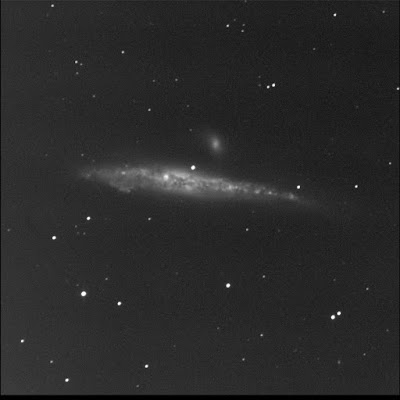 RASC Finest galaxy The Whale in luminance