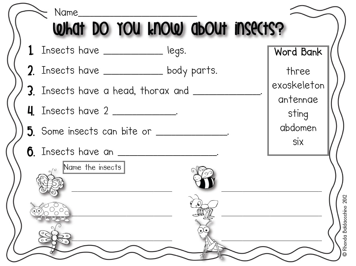Classroom Fun: Insect or Not? Freebie