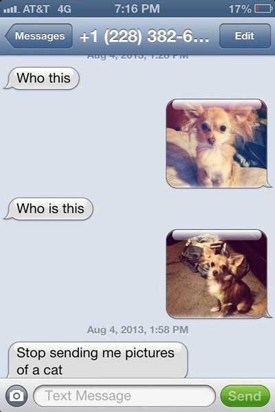 Funny Text Messages Photos Funny Text Messages Photos