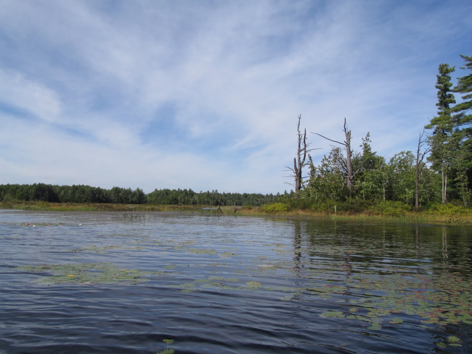 Recreational Kayaking in Maine Roberts Pond, Lyman
