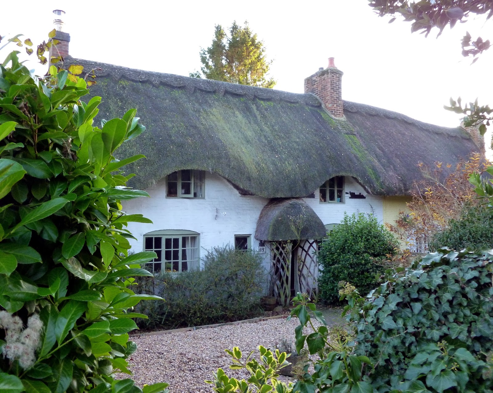 Today Around Coventry Thatched Roof Thursday 53 NewboldonAvon