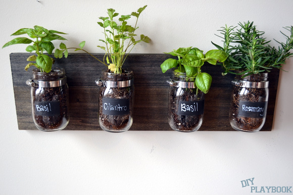 Mason jar organizers can be used for an herb garden. 