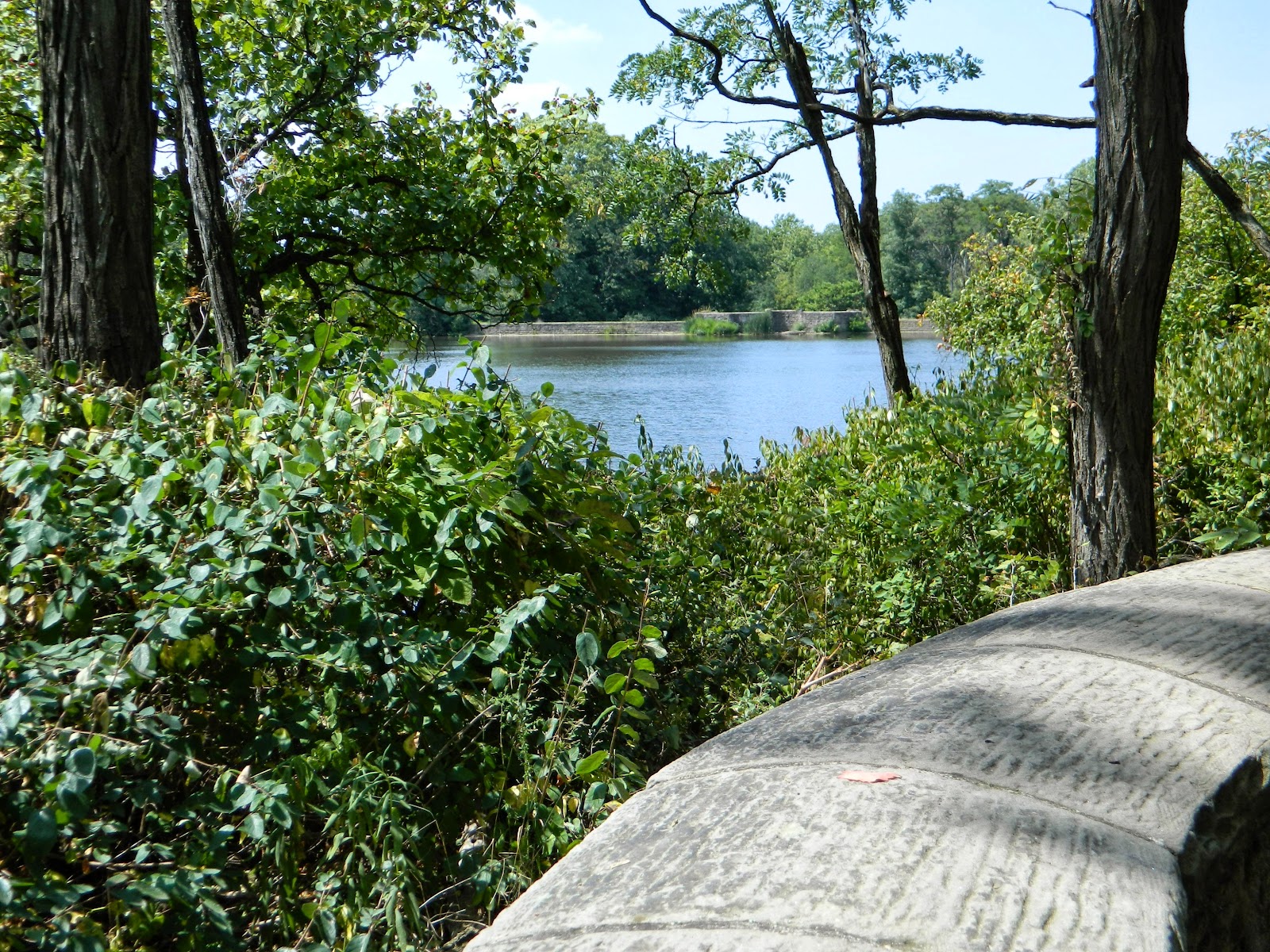 Jax Stumpes Nature in Shaker Heights, OH (8/2013)