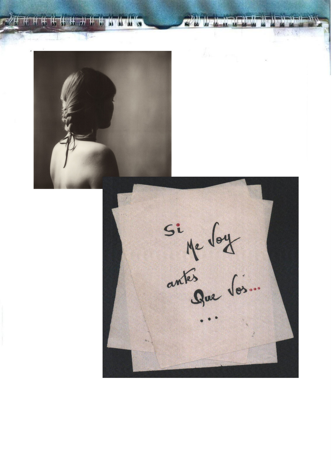 el rumor De los Bosques... Si me voy antes Que vos.